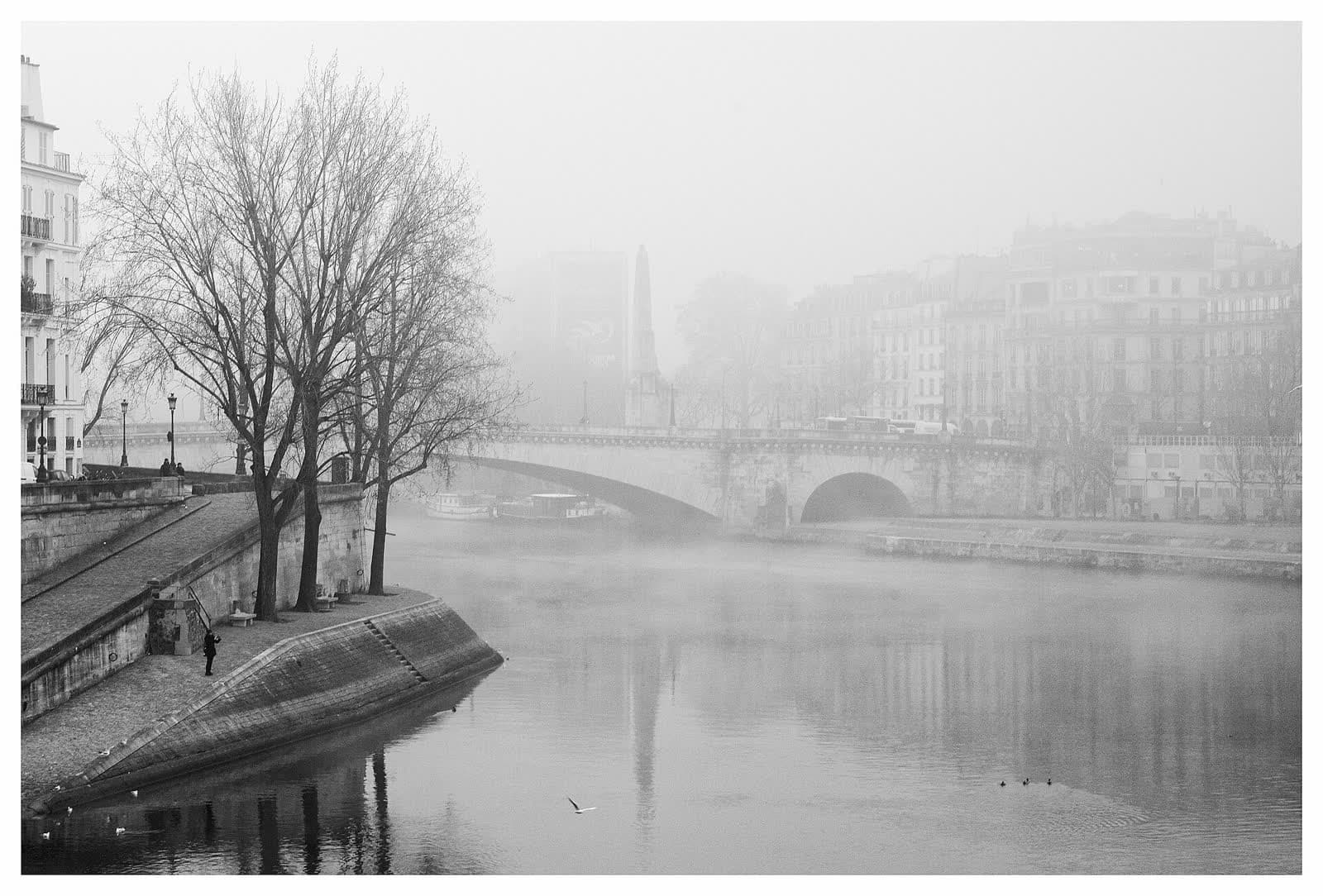A river bridge and bare trees dissolving into thick morning fog